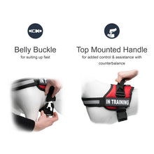 Load image into Gallery viewer, Service Dog in Training, Therapy Dog in Training Vest Harness with 2 Reflective IN TRAINING Velcro Patches, by Industrial Puppy