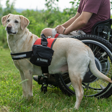 Load image into Gallery viewer, Industrial Puppy Service Dog In Training Vest With Hook and Loop Straps and Detachable Backpacks - Animal Vests From M - XXL - Service Dog Harness with Reflective Patch and Comfortable Mesh Design
