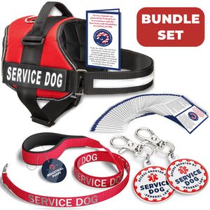 Industrial Puppy Reflective Hook & Loop Strap SERVICE DOG Harness, ADA Cards, Dog Tags & Leash Bundle