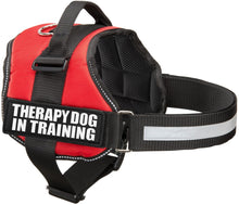 Load image into Gallery viewer, Industrial Puppy Therapy Dog In Training Vest With Hook and Loop Straps and Handle - Harness is Available in XXS to XXL - TDIT Dog Harness Features Reflective Patch and Comfortable Mesh Design
