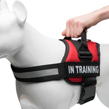 Load image into Gallery viewer, Service Dog in Training, Therapy Dog in Training Vest Harness with 2 Reflective IN TRAINING Velcro Patches, by Industrial Puppy