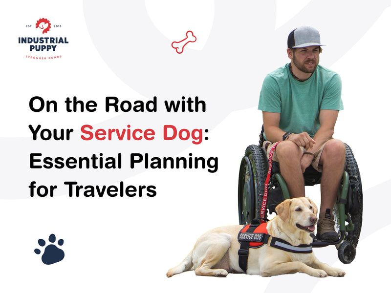 On the Road with Your Service Dog: Essential Planning for Travelers