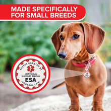 Load image into Gallery viewer, Industrial Puppy Emotional Support Dog Tag, 2 Pack: Metal Pet ID Tags for Emotional Support Dogs, ESA, and Therapy Dogs, 1/1.25 Inch Diameter, Double Sided, Navy Lettering and Red Enamel Trim
