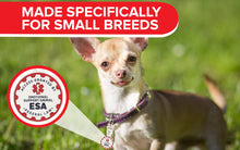 Load image into Gallery viewer, Industrial Puppy Emotional Support Dog Tag, 2 Pack: Metal Pet ID Tags for Emotional Support Dogs, ESA, and Therapy Dogs, 1/1.25 Inch Diameter, Double Sided, Navy Lettering and Red Enamel Trim
