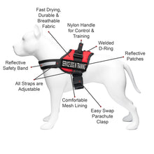 Load image into Gallery viewer, Service Dog in Training Vest Harness, Service Dog Harness with 2 Reflective &quot;SERVICE DOG IN TRAINING&quot; Patches, by Industrial Puppy
