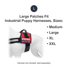 Load image into Gallery viewer, Industrial Puppy Embroidered Service Dog in Training Patches with Hook and Loop Backing - Service Dog Patch for Service Dog in Training Vests - Quality in Training Dog Patch for Working Dog
