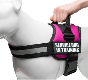 Service Dog in Training Vest Harness, Service Dog Harness with 2 Reflective "SERVICE DOG IN TRAINING" Patches, by Industrial Puppy