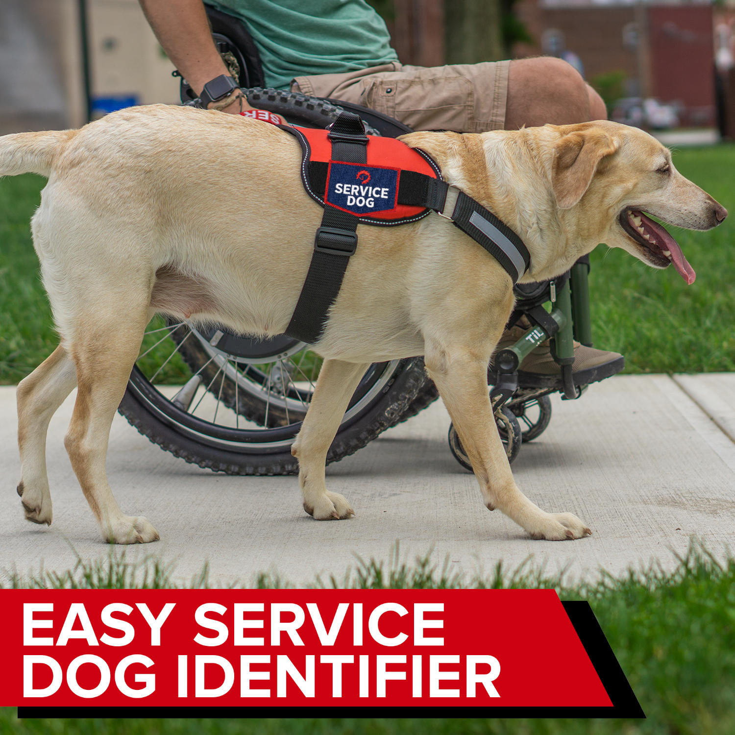 Industrial Puppy Embroidered Service Dog Patch with Hook and Loop Back