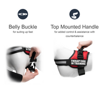 Load image into Gallery viewer, Industrial Puppy Therapy Dog In Training Vest With Hook and Loop Straps and Handle - Harness is Available in XXS to XXL - TDIT Dog Harness Features Reflective Patch and Comfortable Mesh Design
