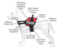 Load image into Gallery viewer, Industrial Puppy Therapy Dog In Training Vest With Hook and Loop Straps and Handle - Harness is Available in XXS to XXL - TDIT Dog Harness Features Reflective Patch and Comfortable Mesh Design
