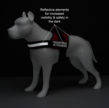 Load image into Gallery viewer, Industrial Puppy Therapy Dog In Training Vest With Hook and Loop Straps and Handle - Harness is Available in XXS to XXL - TDIT Dog Harness Features Reflective Patch and Comfortable Mesh Design
